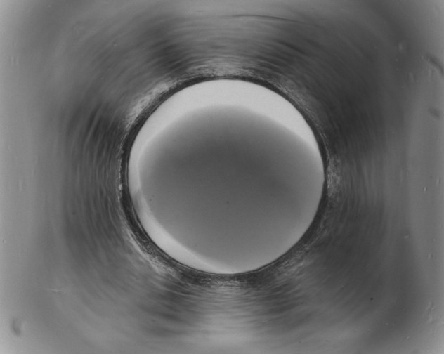 X0000102220438200808221249