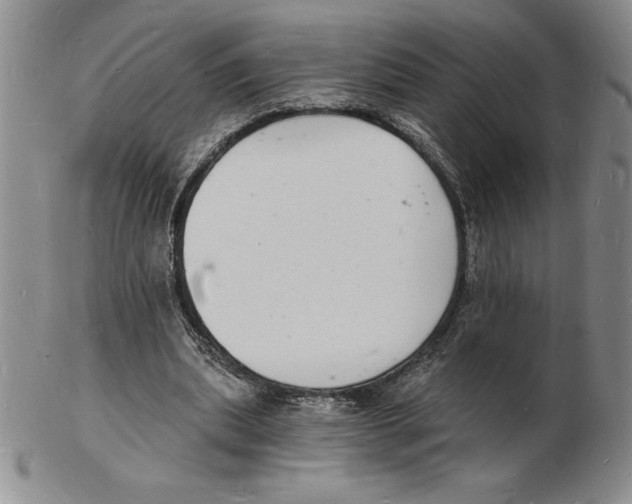 X0000102220439200808221249