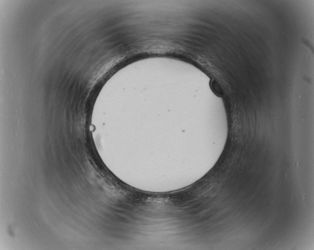 X0000102220440200808221249