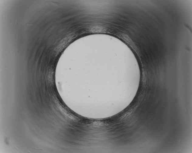 X0000102220441200808221249