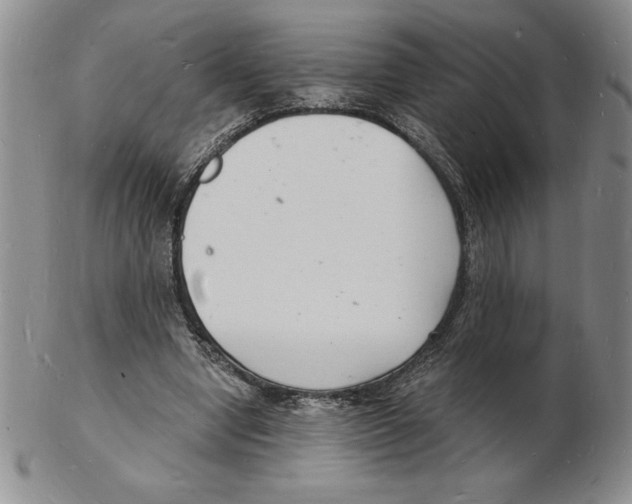 X0000102220442200808221249