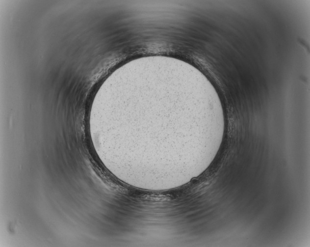 X0000102220443200808221249