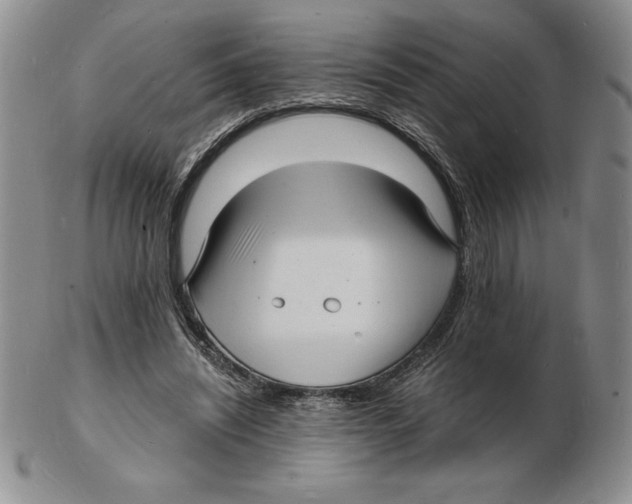 X0000102220444200808221249