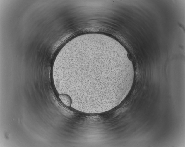 X0000102220446200808221249