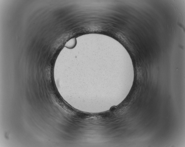 X0000102220447200808221249