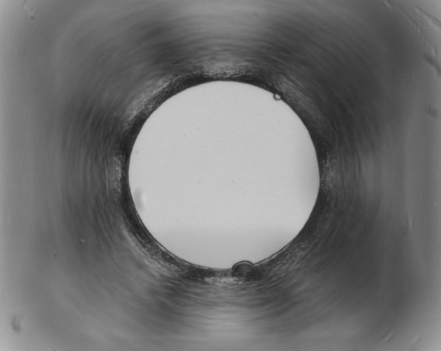 X0000102220448200808221249