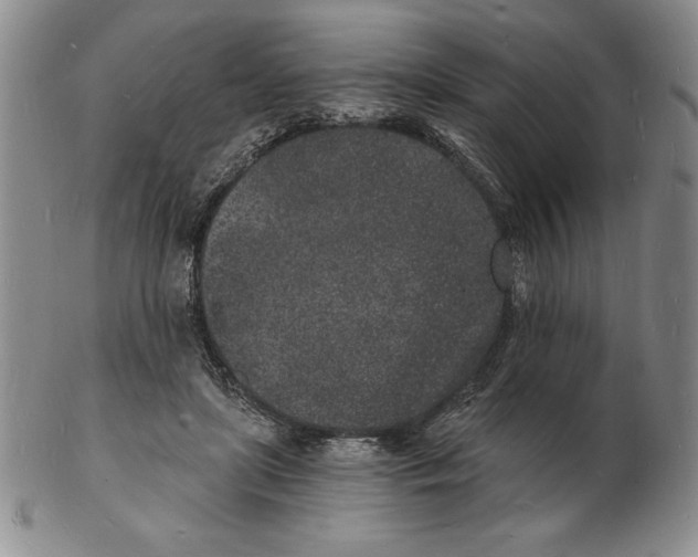 X0000102220451200808221249