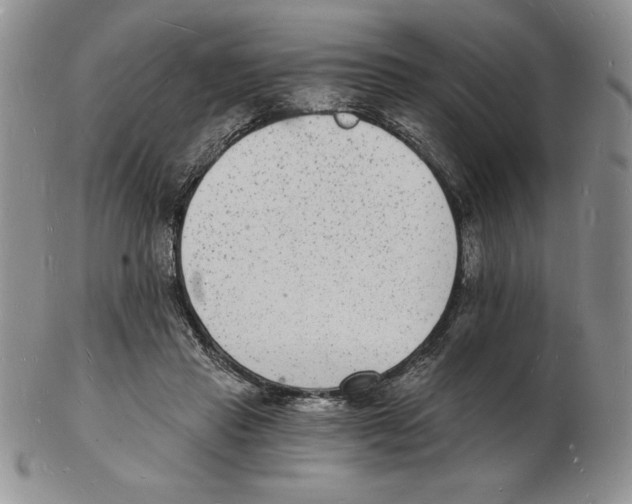 X0000102220453200808221249