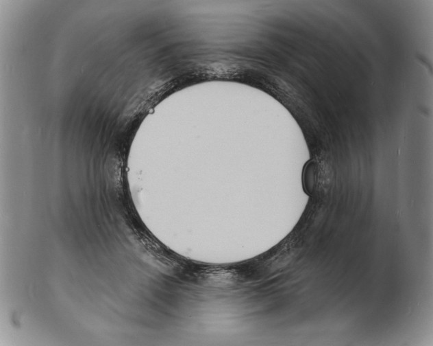 X0000102220456200808221249