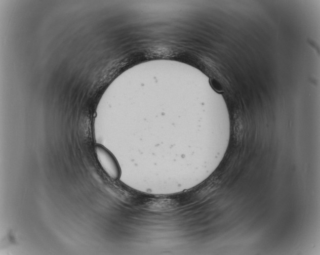 X0000102220459200808221249