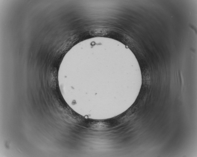 X0000102220460200808221249