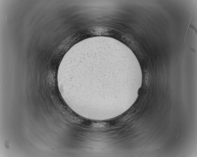 X0000102220461200808221249