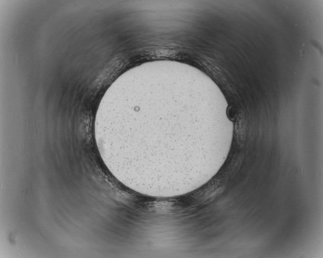 X0000102220462200808221249