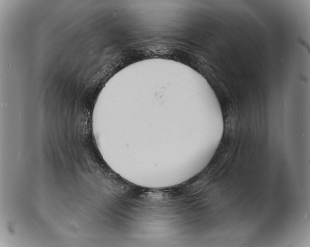 X0000102220464200808221249