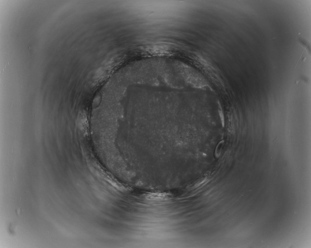 X0000102220465200808221249