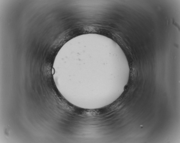 X0000102220466200808221250