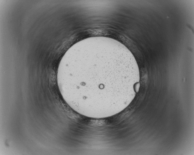 X0000102220469200808221250