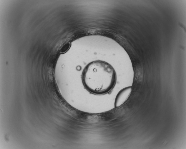 X0000102220470200808221250