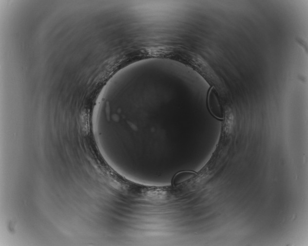 X0000102220471200808221250