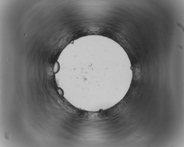 X0000102220472200808221250