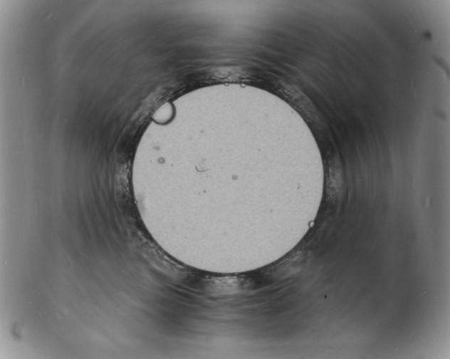 X0000102220473200808221250