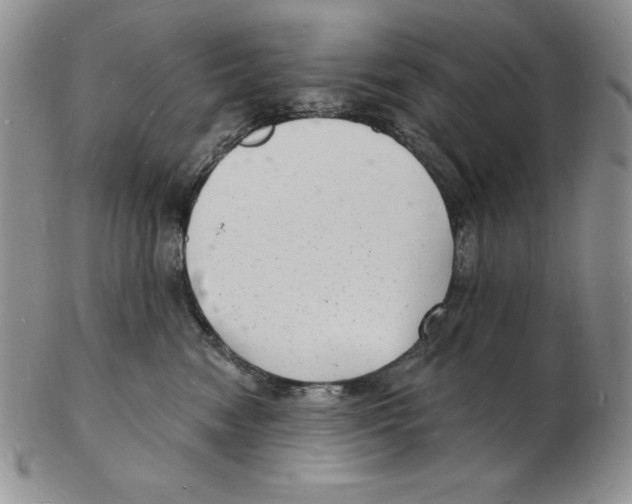 X0000102220474200808221250