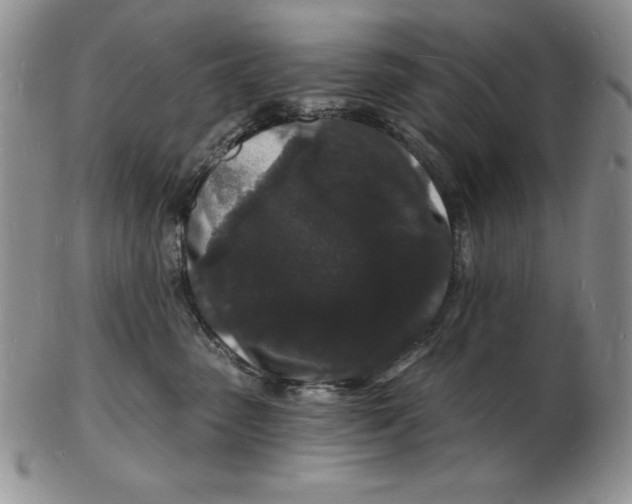 X0000102220475200808221250