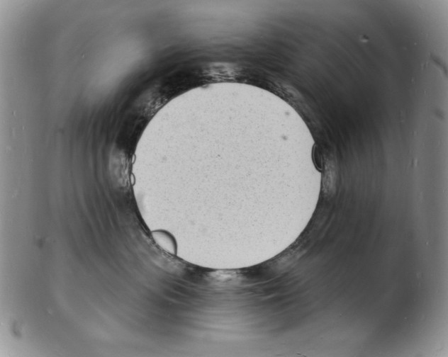 X0000102220477200808221250