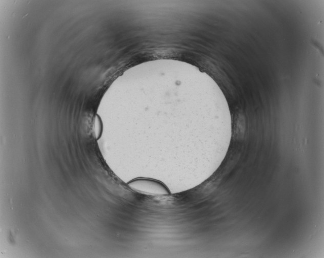 X0000102220478200808221250