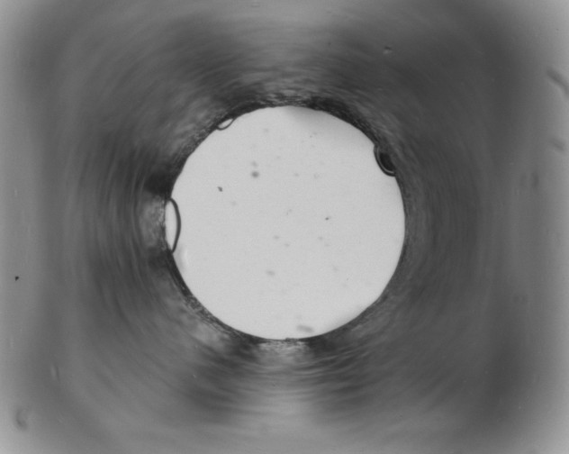 X0000102220480200808221250