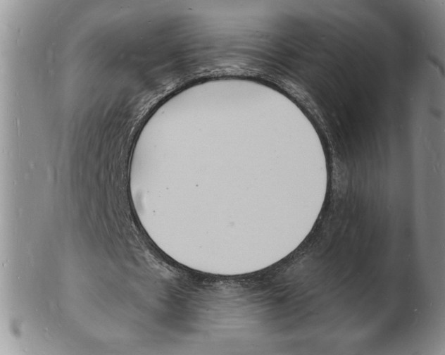 X0000102220481200808221249