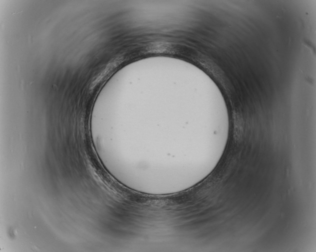 X0000102220482200808221249