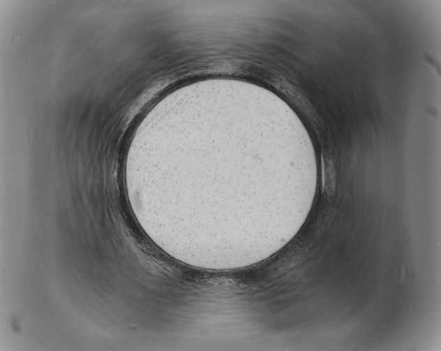 X0000102220483200808221249