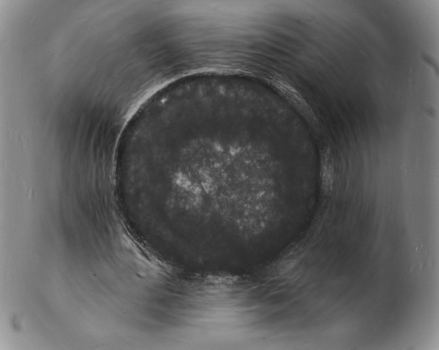 X0000102220484200808221249