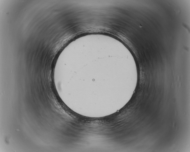 X0000102220485200808221249