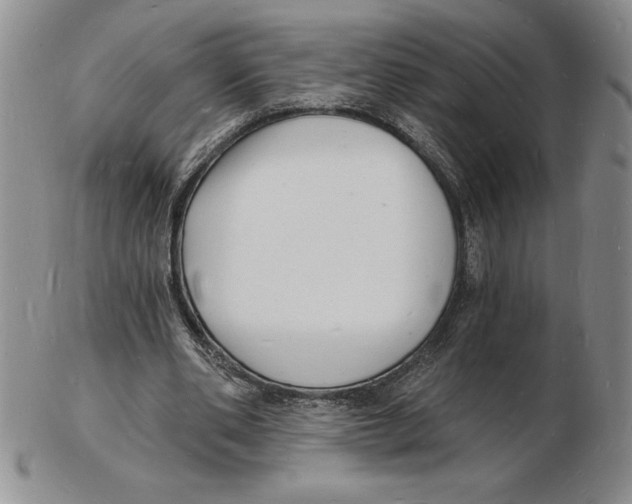 X0000102220486200808221249