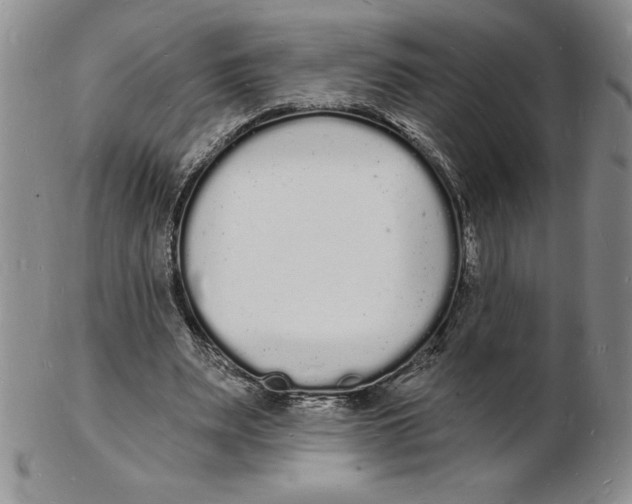 X0000102220487200808221249