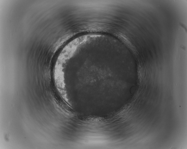 X0000102220488200808221249