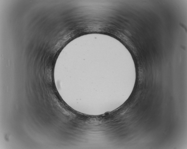 X0000102220489200808221249