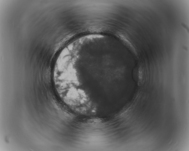 X0000102220492200808221249