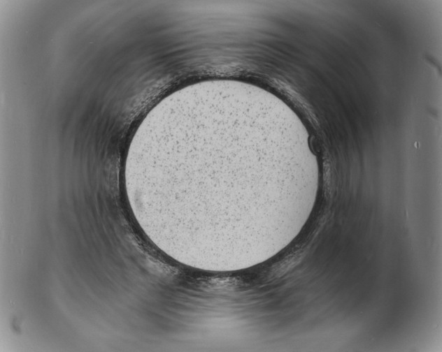 X0000102220493200808221249