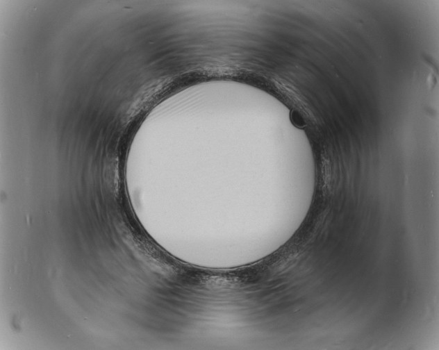 X0000102220494200808221249