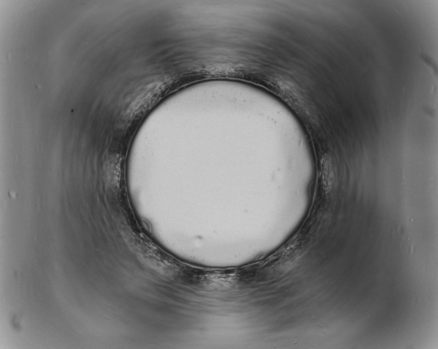 X0000102220495200808221249