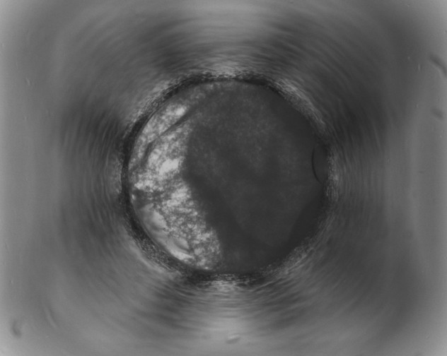 X0000102220496200808221249