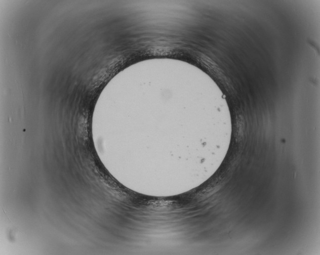 X0000102220497200808221249