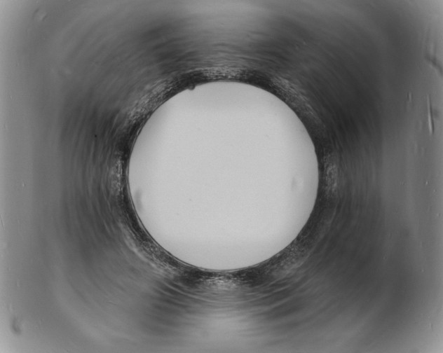 X0000102220498200808221249