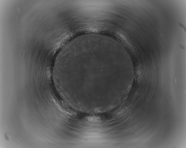 X0000102220500200808221249