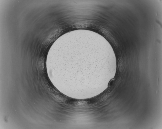 X0000102220501200808221249