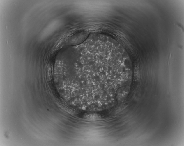 X0000102220503200808221249