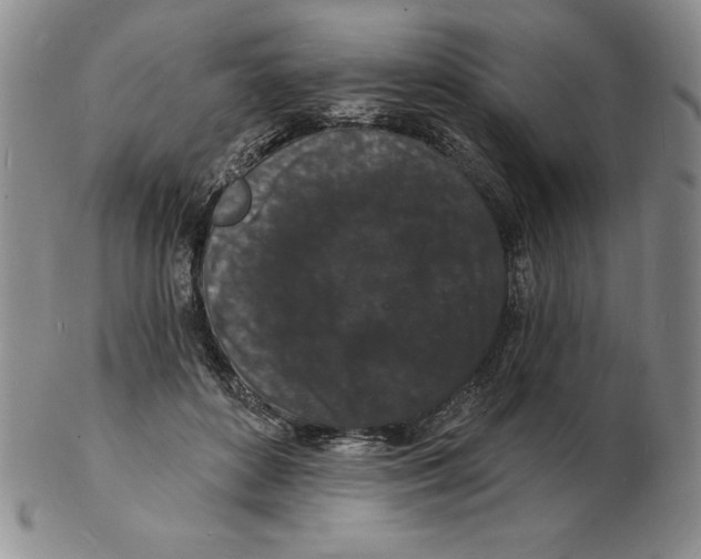 X0000102220504200808221249